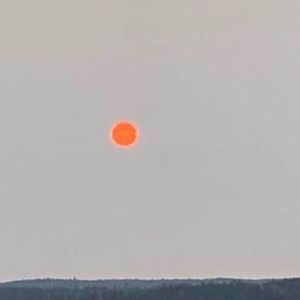 Meet your Posher, Phyllis